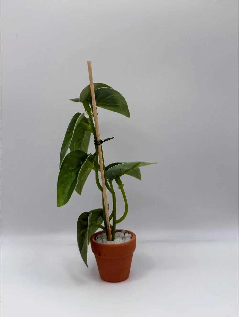 1:12 Scale Dollhouse Miniature Pothos Plant Terra Cotta Pot Mini Greenery